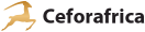 Ceforafrica – Afroshop